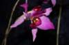 photo7_small.jpg