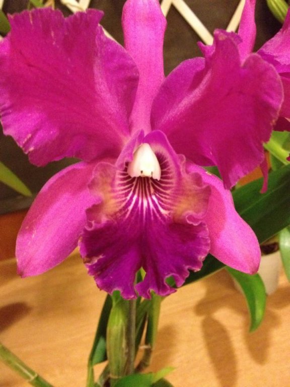 photo2.jpg